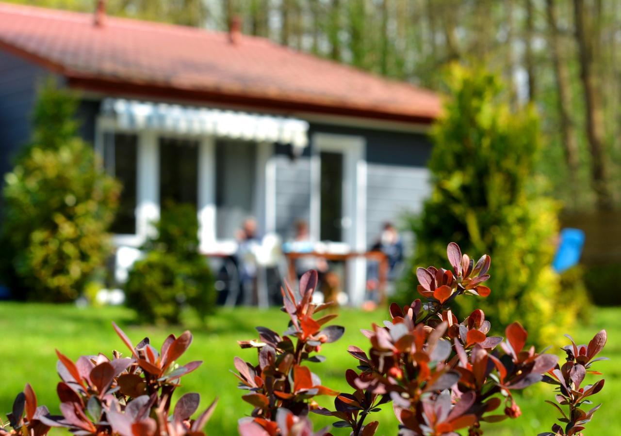 Babie Lato Appartement Łazy Buitenkant foto